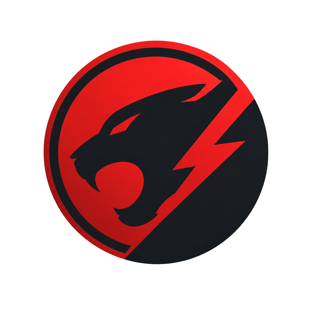 Logo ThunderClean